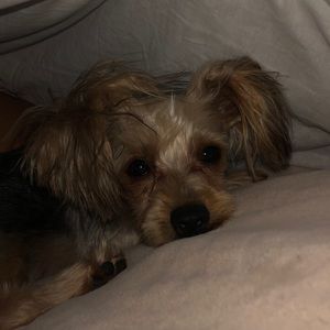 Meet your Posher, Alexandra